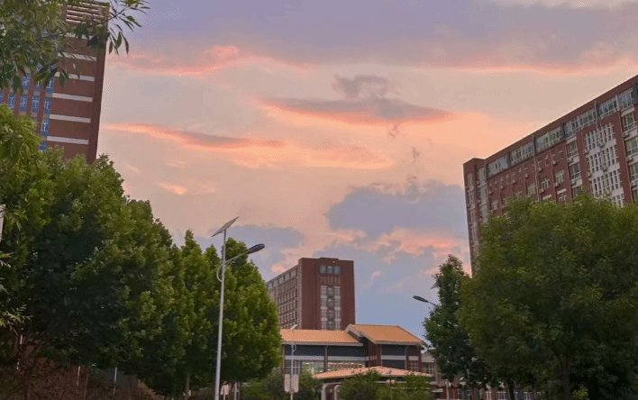 栏目用于追新